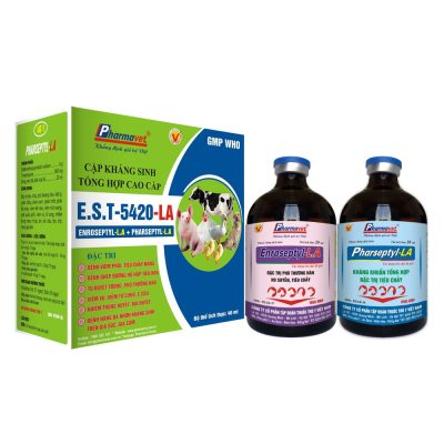 E.S.T 5420-LA (CẶP KHÁNG SINH TỔNG HỢP CAO CẤP)