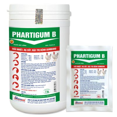 PHARTIGUM B