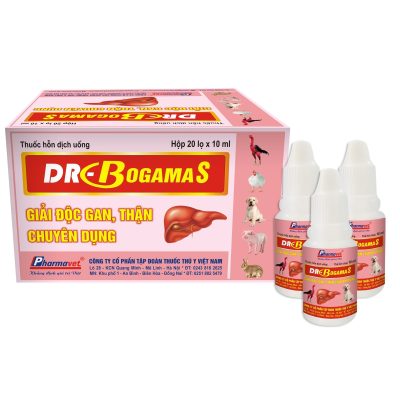 DR-BOGAMA S