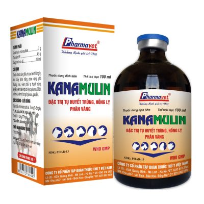 KANAMULIN