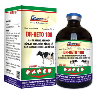 DR-KETO 100