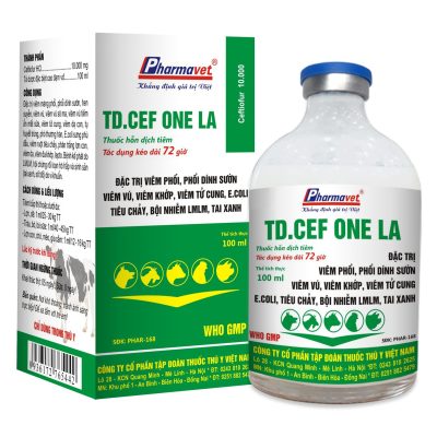 TD.CEF ONE LA