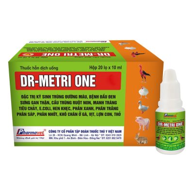 DR-METRI ONE