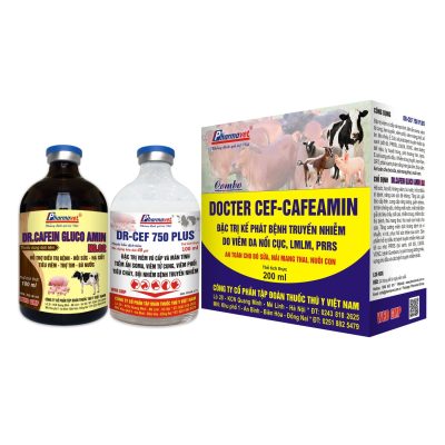DOCTER CEF-CAFEAMIN