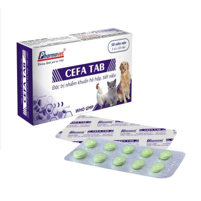 CEFA TAB