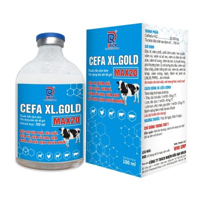 CEFA XL.GOLD